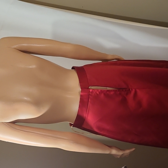 Elegant 2pc Deep Red Sleeveless Skirt Set - Picture 13 of 14